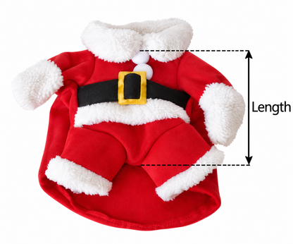 Santa Claus Pet Costume